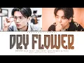 Download Lagu ENHYPEN JAY \u0026 Yuuri - 'Dry Flower' Lyrics (Color Coded Kan/Rom/Eng) | ShadowByYoongi