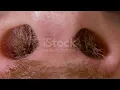 Hairy nostrils and nose of caucasian man close up in macro