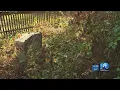 Manteo family fears ancestral burial place could be replaced