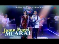 Download Lagu Abdy Ft Tiara Amora - Jamu Pegel Mlarat Ft New RGS (Official Live Music)