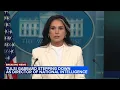 Tulsi Gabbard resigns as Trump s national intelligence director citing husband s health
