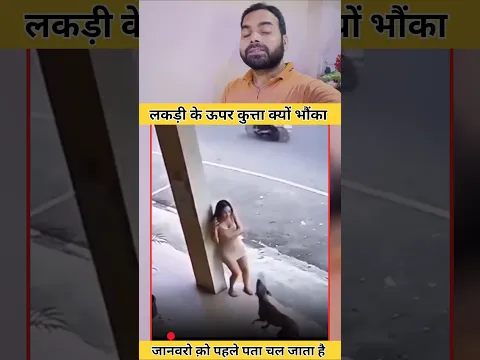 लड़की के ऊपर कुत्ता क्यों भौंक रहा था #ilovemohammadﷺ #shortsfeed #rjavedislamicgreen #shortvideo