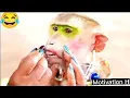 Monkey funny makeup