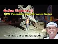 Lagu KDM Tuntaskan Pembangunan Jembatan Gabus Malam Ini #dedimulyadi #kdm #kangdedimulyadi 