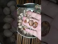 Lagu Dulu menganggap ini makanan org yg sdh tua klu liat nenek makan ini,skrg...🤭#aktivitas#food