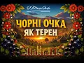 Чорні очка як терен — українська народна весільна пісня #okmusicstudioalex 
