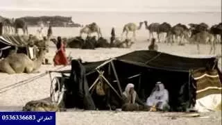 شيلة جيت للهم غصب وجاني الهم طوع ررروعه دندنها