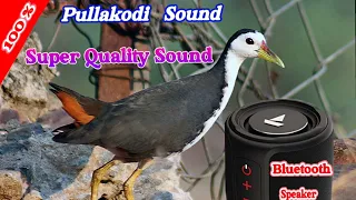 pullakodi sound new 2022 super quality sound 100 wark