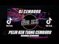 Download Lagu DJ CEMBURU ( Pelih Keh Tiang Cemburu ) VIRAL TIKTOK - DJ SUDI RMX