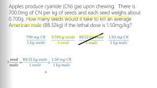 Dimensional Analysis Word Problem example