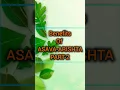 Download Lagu Benefits of ASAVA-ARISHTA PART-2,#ayurvedicmedicine #healthylifestyle#care #wellnessjourney#Trending