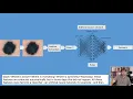 Artificial intelligence in skin cancer diagnosis Prof Harald Kittler