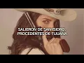 los tigres del norte - contrabando y traicion letra