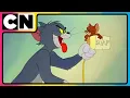 Download Lagu Tom \u0026 Jerry 😺🐭| Catch the Hour-Long Cat and Mouse Game 😆| Funny Compilation 🤩| Cartoon Network ✨
