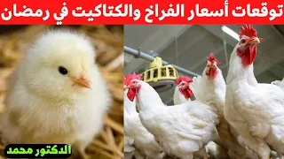 هل كيلو الفراخ هيرخص في رمضان توقعات أسعار الفراخ والكتاكيت في شهر رمضان 