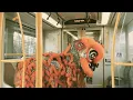 Download Lagu Lion and Buddha Get Ready For Lunar New Year 🧧 | subtle asian traits