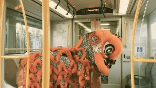 lion and buddha get ready for lunar new year subtle asian traits