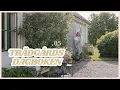 Download Lagu Äntligen sommar, äntligen utplantering! ☀️ | Trädgårdsdagboken .05