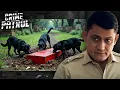 Download Lagu कुत्तों ने ढूंढ निकाली लाश! | Crime Patrol | पुलिस भी रह गई हैरान | True Crime