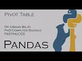 Pandas DataFrame Pivot Table