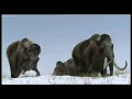 Prehistoric life with Ice age Opening travel music