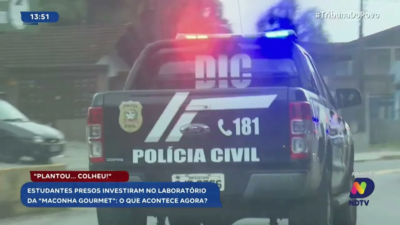 Polícia Civil prende fornecedores de "maconha gourmet" em Joinville