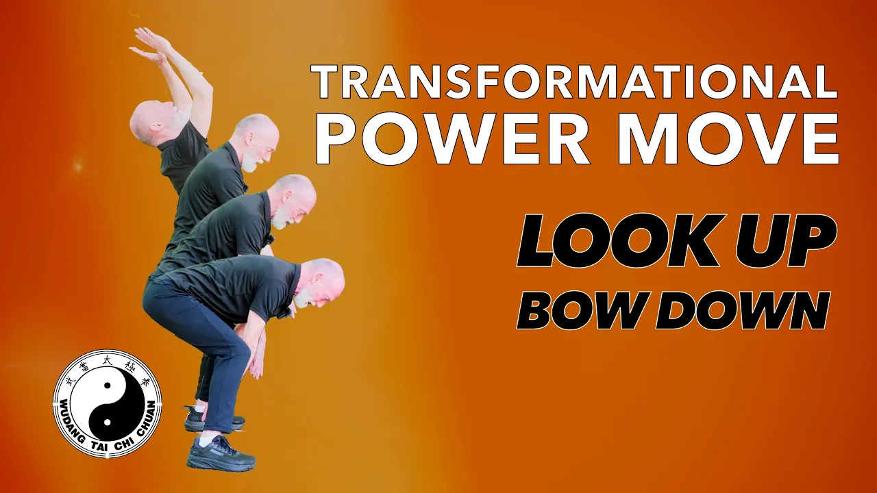 Look Up, Bow Down