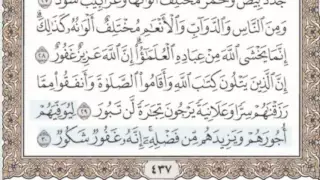 35 سورة فاطر سماع وقراءة الشيخ محمد صديق المنشاوي 