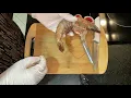 how to clean tiger prawns how to clean tiger prawns without removing shell