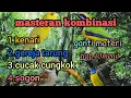 Download Lagu masteran kombinasi❗kenari, gereja, cucak cungkok, sogon