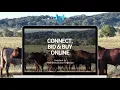AuctionsPlus Connect Bid Buy Online - Get Started Today