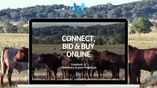AuctionsPlus Connect Bid Buy Online - Get Started Today