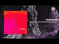 Underworld - And The Colour Red (Rebūke Remix) [Smith Hyde Productions]