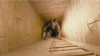 آنچه یک مرد در مصر کشف کرد مصر را شوکه کرد چیزهای عجیب وحل نشده که در دل مصر باستان کشف شده اند 