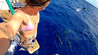 2/10/23 GIRL Sails With A POD Of 100 SPINNER DOLPHINS Off The COAST Of CUBA!! We Catch A MAHI! S3:E4
