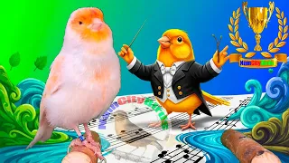 Teach Your Canary to Lead: A Chorus of Natural Sounds (Russian Singing Style) - Jan 2026