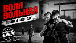 ВОЛЯ ВОЛЬНАЯ - Песни о свободе - Настоящий шансон @rushanson #шансон #песниосвободе