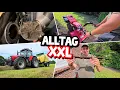Download Lagu DER ZWEITE SCHNITT! | KURZSCHLUSS IM HOLZVERGASER | Garten anlegen mit Einachser | Cabrio abgesoffen
