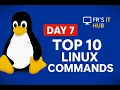Top 10 Linux Commands Every Beginner Must Know Day 7 Linux Series