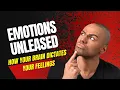 Emotions Unleashed How Your Brain Dictates Your Feelings