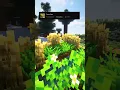 Download Lagu Top 4 BEST Minecraft Resource Packs in 2024