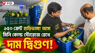 মিনি কোল্ড স্টোরেজে হাড়িভাঙ্গা আম: ১১ দিনেই দাম দ্বিগুণ, লাভবান রংপুরের কৃষক