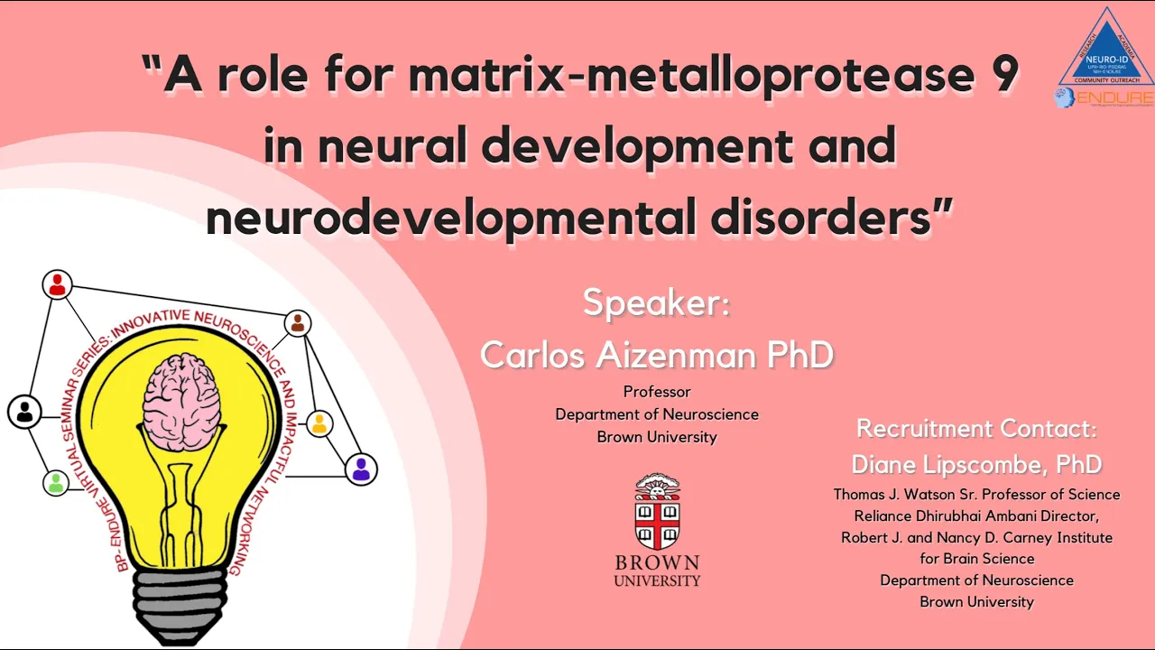 BP-ENDURE VIRTUAL SEMINAR SERIES ft. Dr. Carlos Aizenman from Brown U