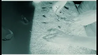 BOATS & PIRATES, we are going through the pirate alley! Sailing Ocean Fox Ep 66