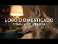 Lobo Domesticado - Tommy Olivencia