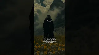 وإذ قال إبراهيم ربي أرني كيف تحيي الموتى تلاوة خاشعة قرآن كريم عبدالرحمن مسعد 