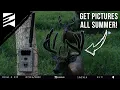 The BEST Trail Camera Locations For The Summer