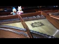東京ディズニーシー15周年「When Your Heart Makes a Wish」5/16 通常版