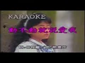 芝麻&龙眼-动不动就说爱我 (Zhi Ma&Long Yan-Dong Bu Dong Jiu Shuo Ai Wo)