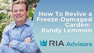 How To Revive Your Freeze-Damaged Garden with RANDY LEMMON Texas Freeze 2021